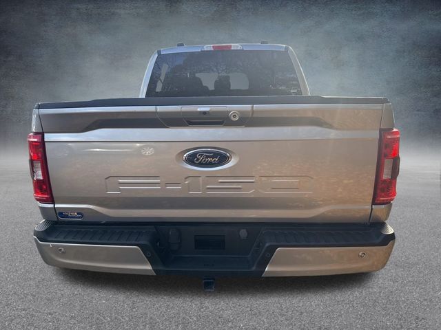 2023 Ford F-150 XLT photo 4