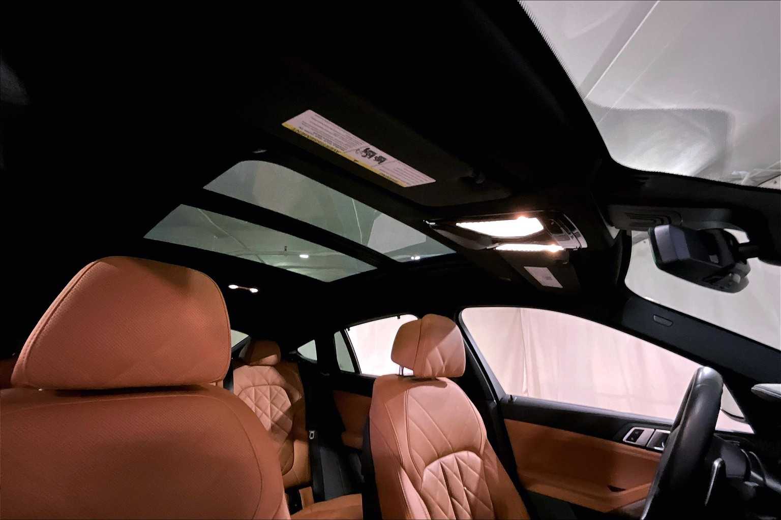 2023 Bmw X6 M50i photo 12
