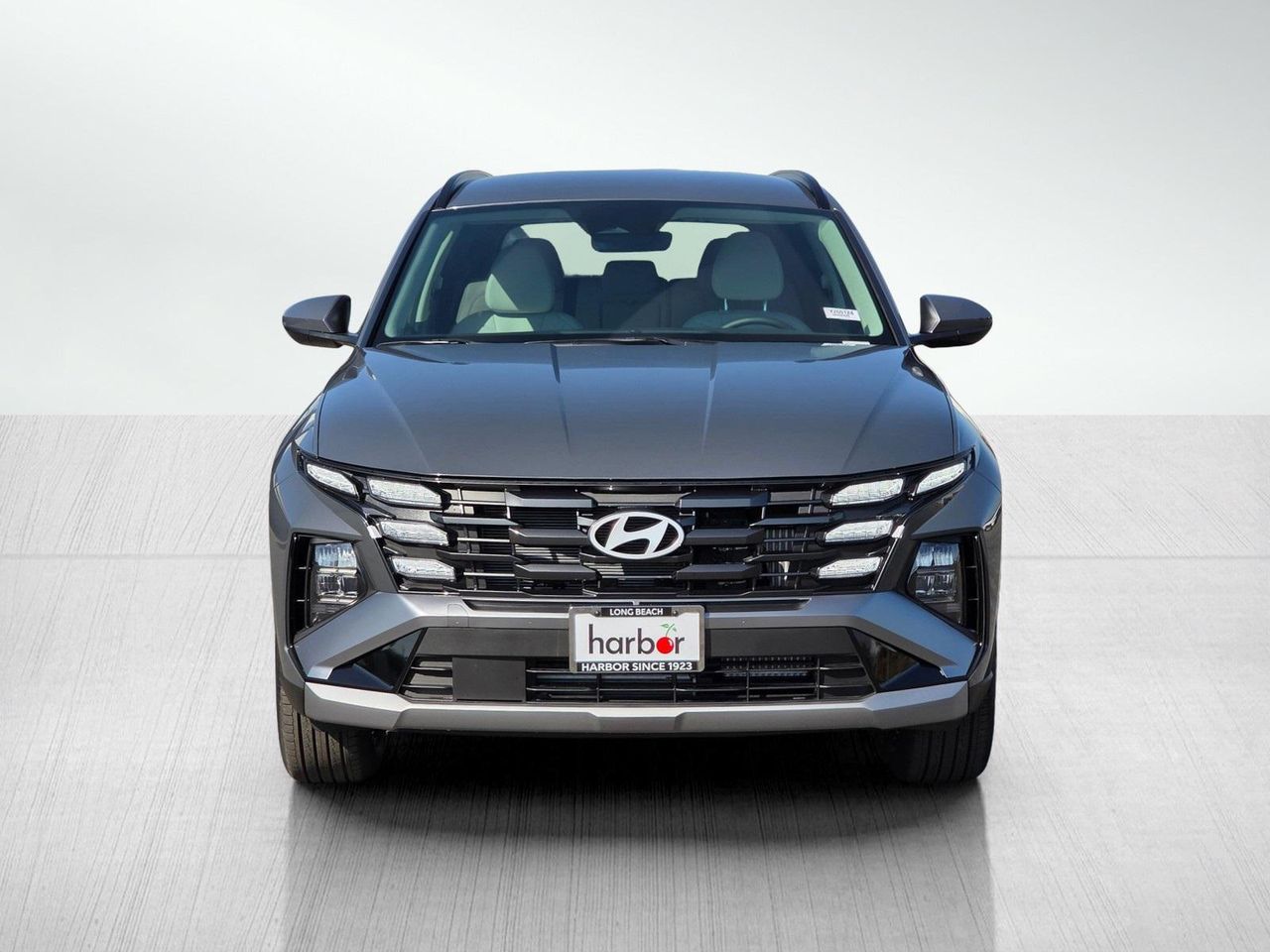 2026 Hyundai Tucson Hybrid SEL Convenience photo 2