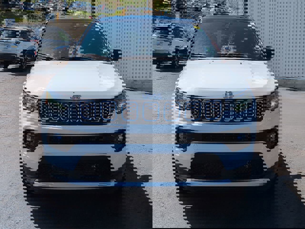 3C4NJDCN4RT173117