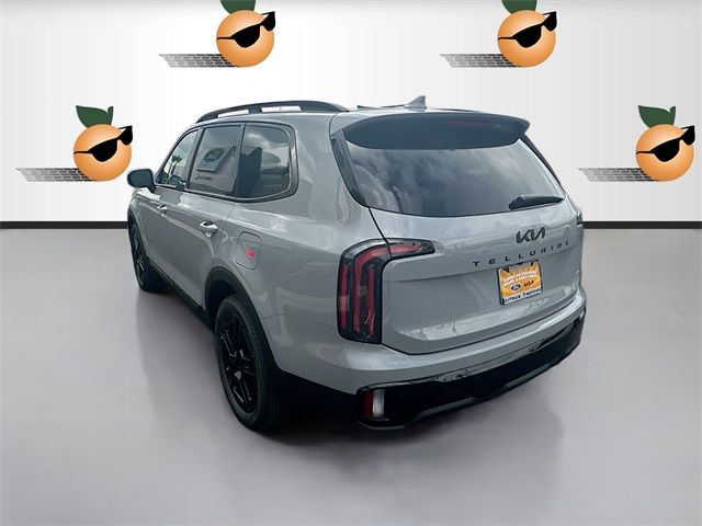 2025 Kia Telluride SX Prestige X-Line photo 3
