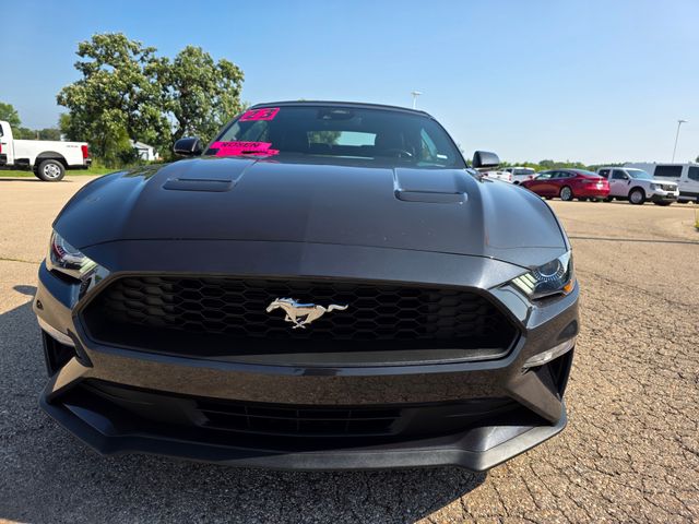 2023 Ford Mustang EcoBoost Premium photo 4