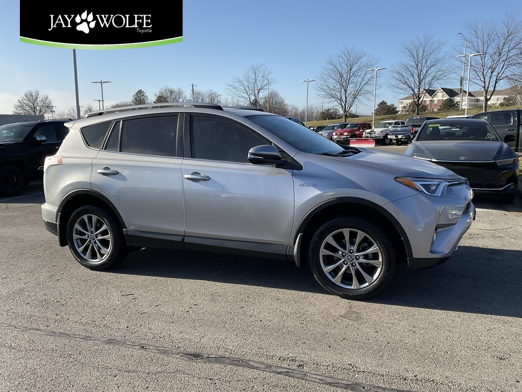 2018 Toyota RAV4 Limited's photo