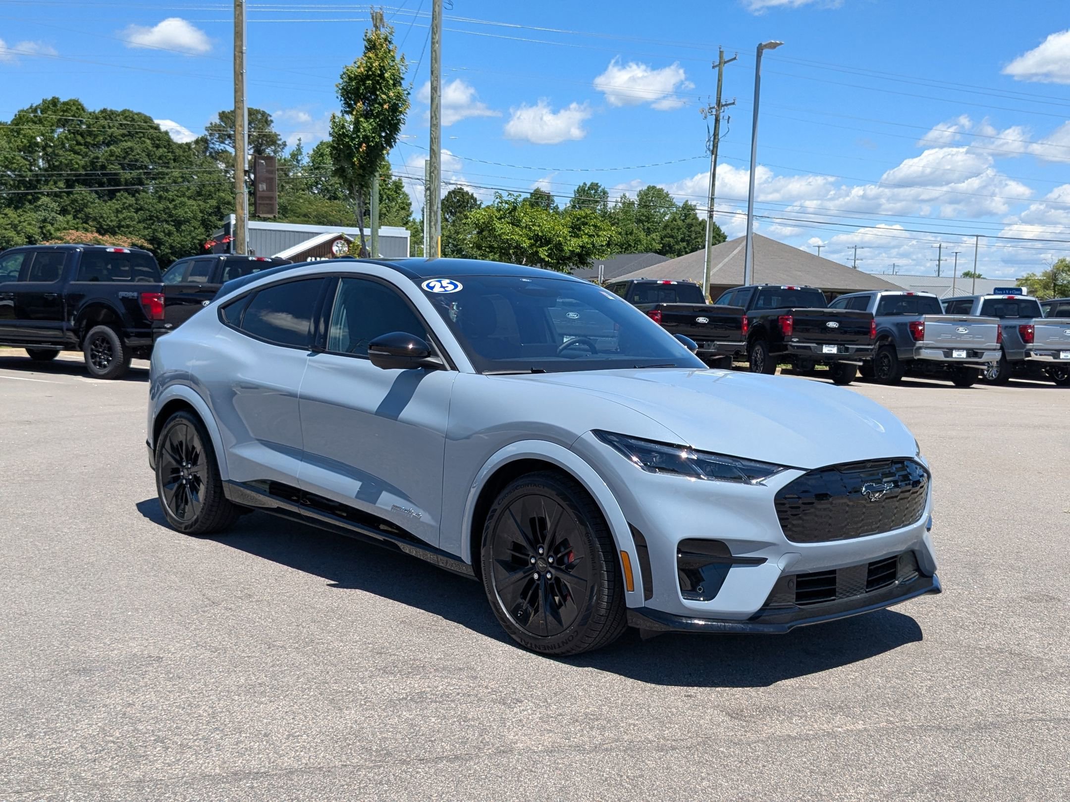 2025 Ford Mustang Mach-E GT photo 4