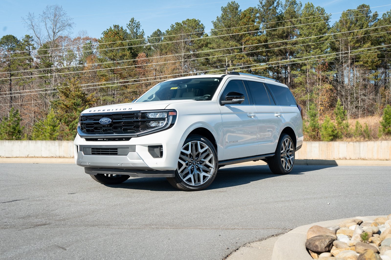 2025 Ford Expedition Platinum's photo