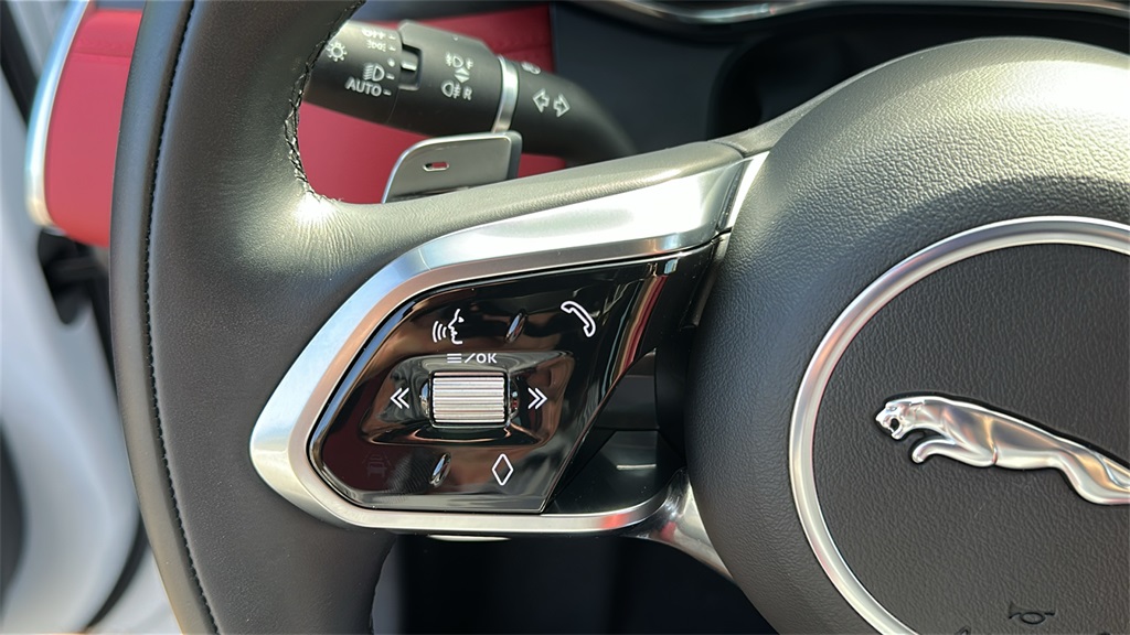 2024 Jaguar F-PACE P400 R-Dynamic S photo 14