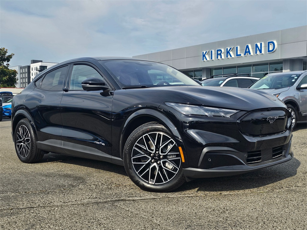 2025 Ford Mustang Mach-E Premium AWD's photo