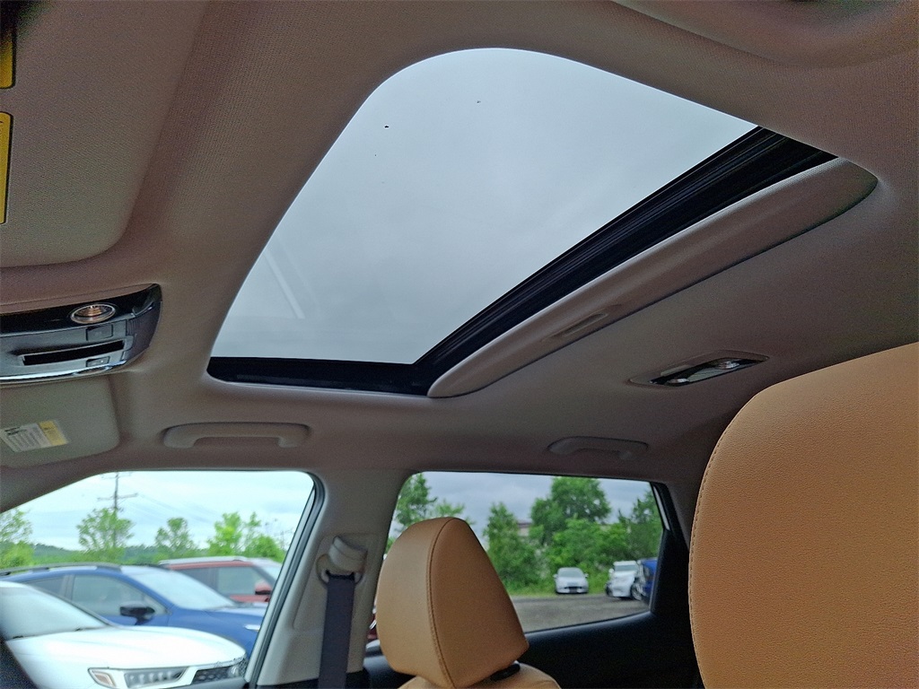 2025 Kia Seltos EX photo 10