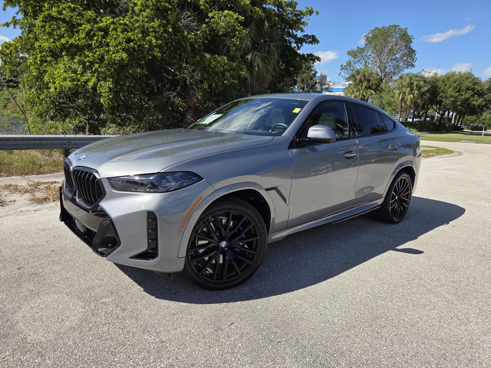 2025 BMW X6 40i's photo