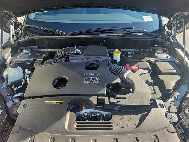 2025 Infiniti QX55 Luxe photo 10