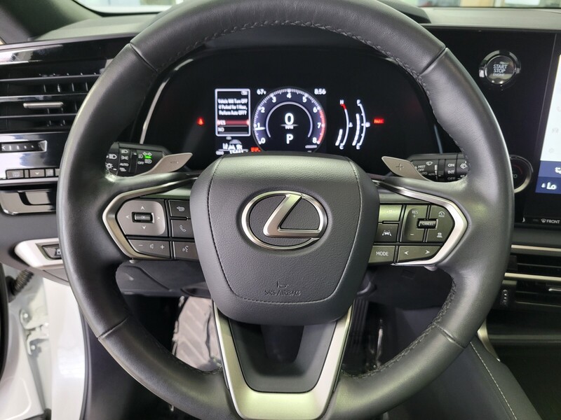 2024 Lexus RX 350 photo 18