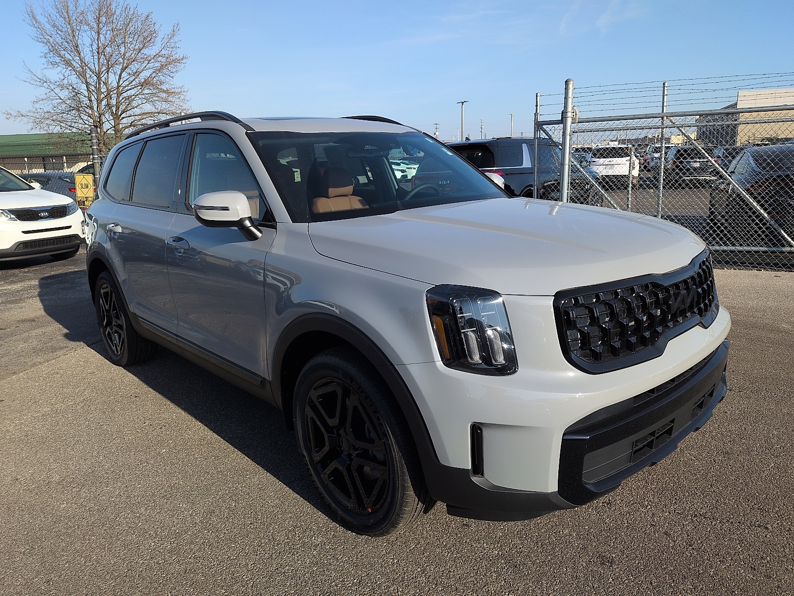 2025 Kia Telluride EX X-Line's photo