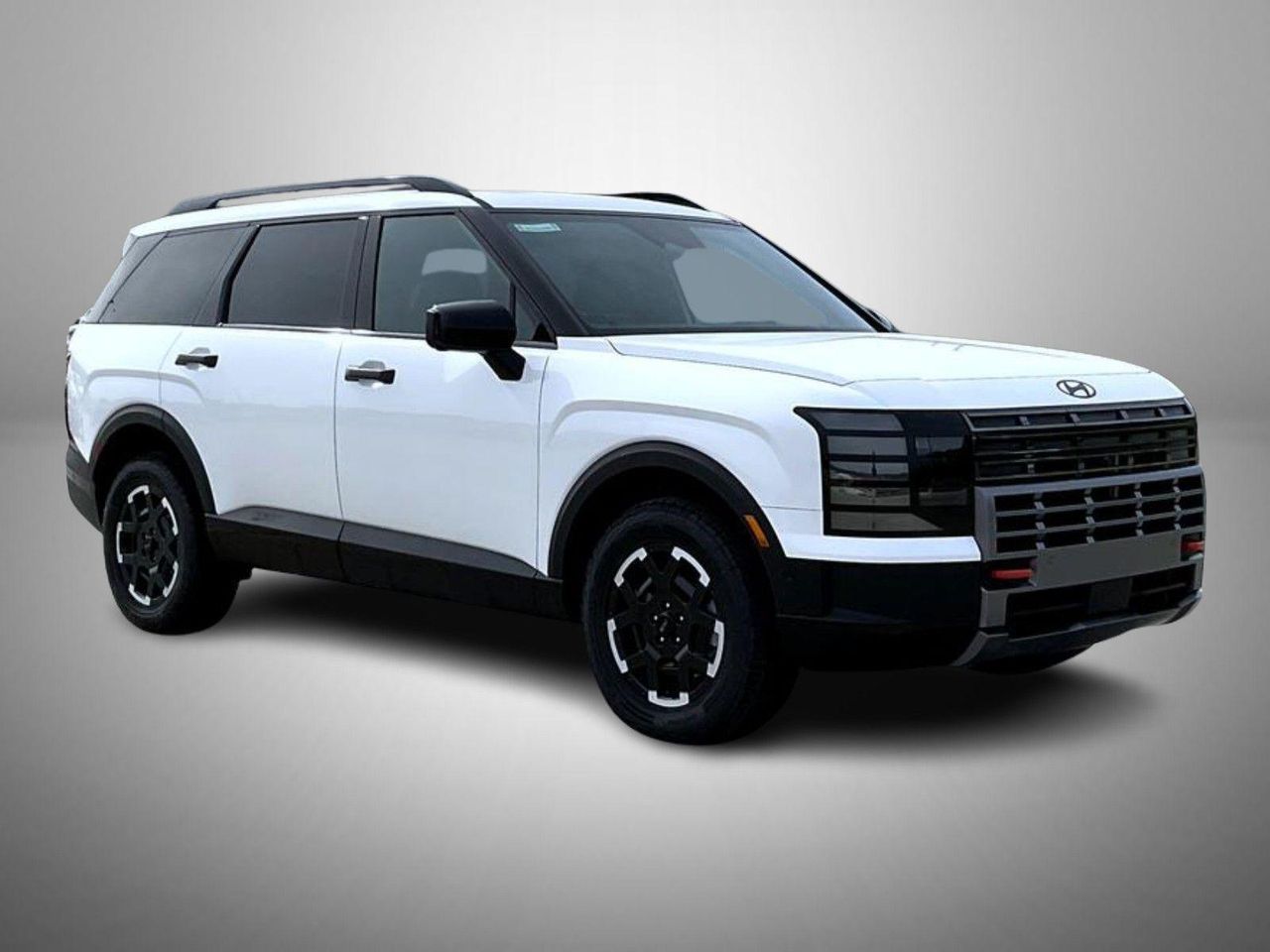 2026 Hyundai Palisade XRT photo 3