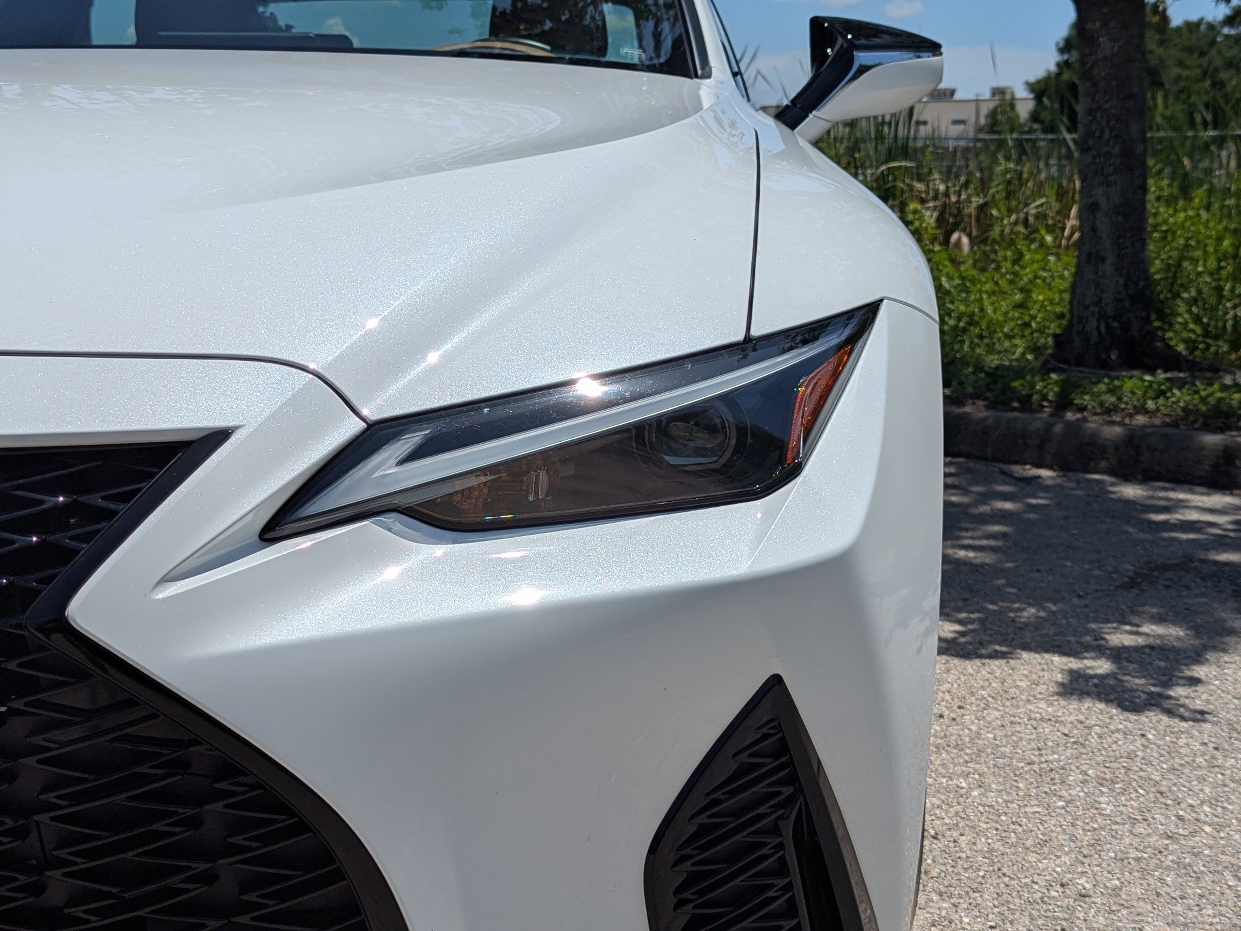 2025 Lexus IS F SPORT photo 9