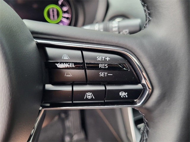 2025 Mazda CX-70 Premium Plus photo 19