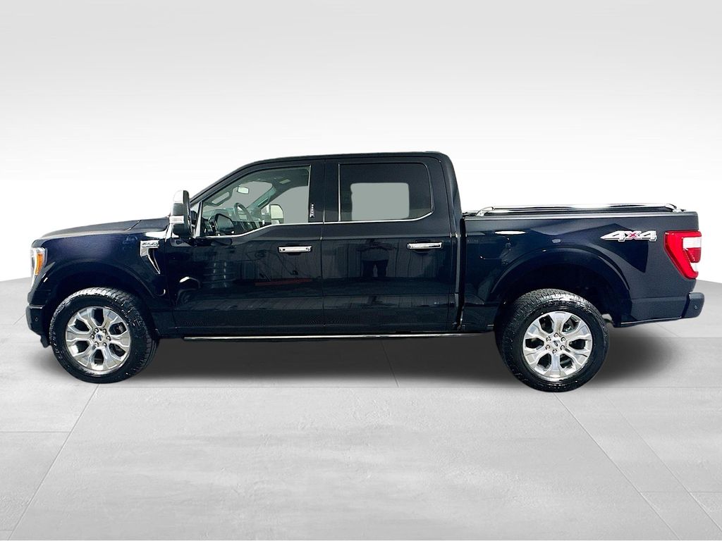 2023 Ford F-150 Platinum photo 4