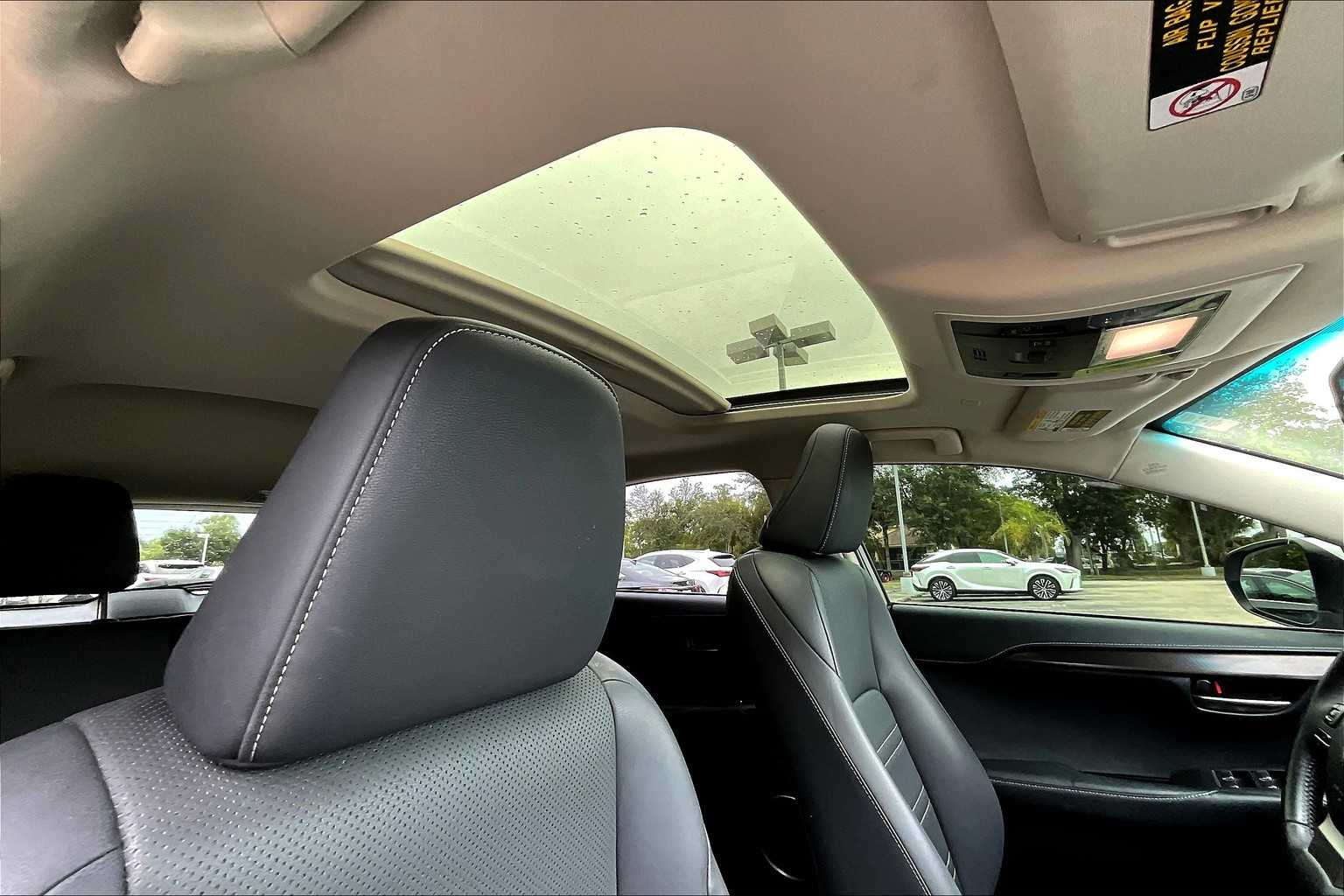 2019 Lexus NX 300 Luxury photo 12