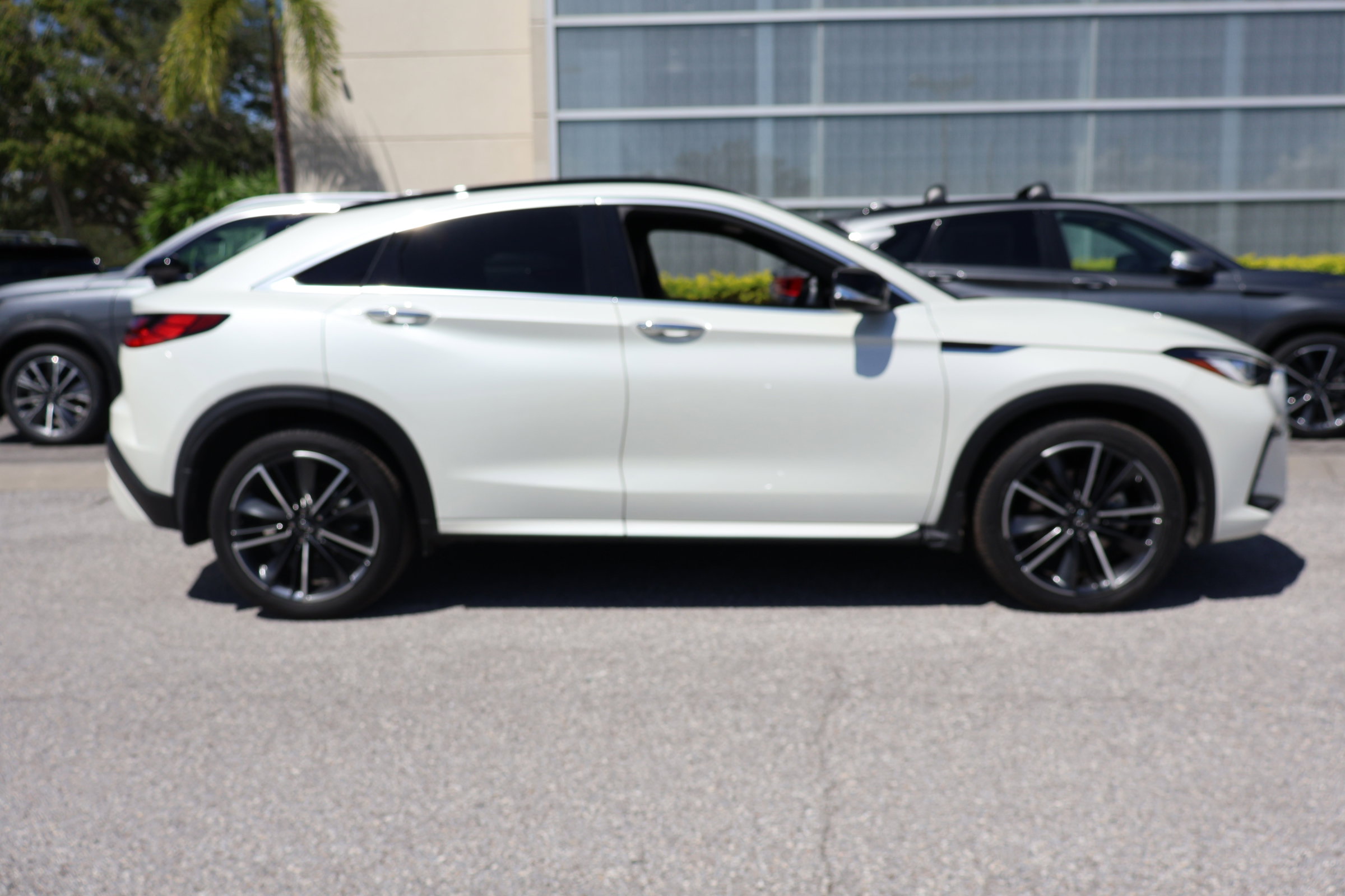 2023 Infiniti QX55 Luxe photo 8