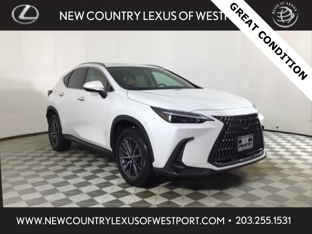 2025 Lexus NX 250's photo