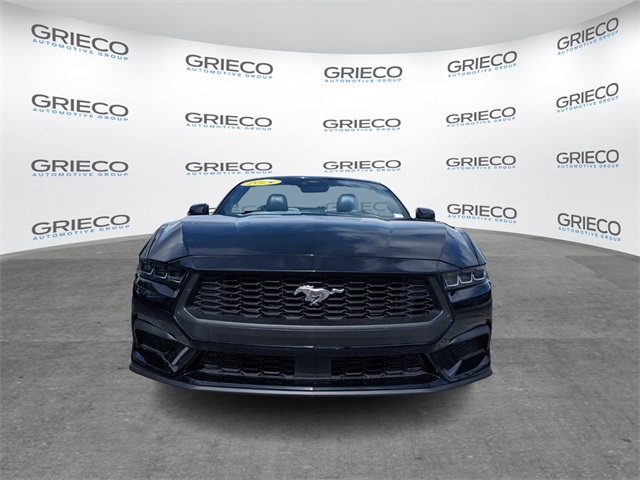 2024 Ford Mustang EcoBoost Premium photo 3