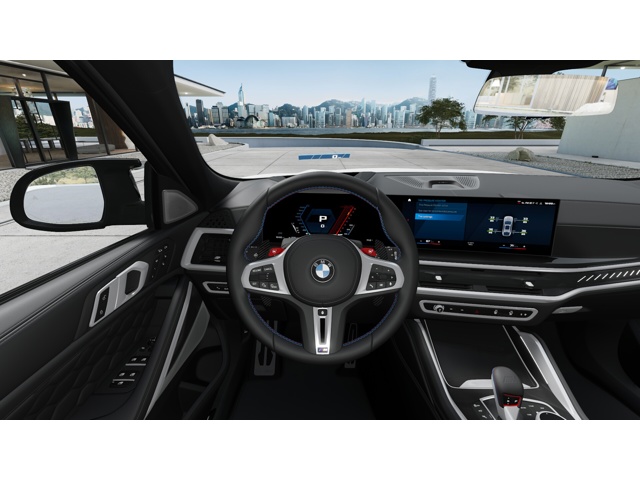 2025 Bmw X6 M50i photo 13