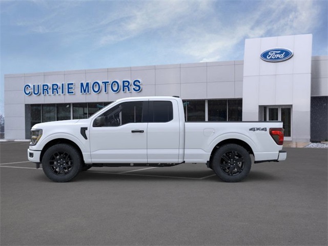 2025 FORD F-150 - Image 25