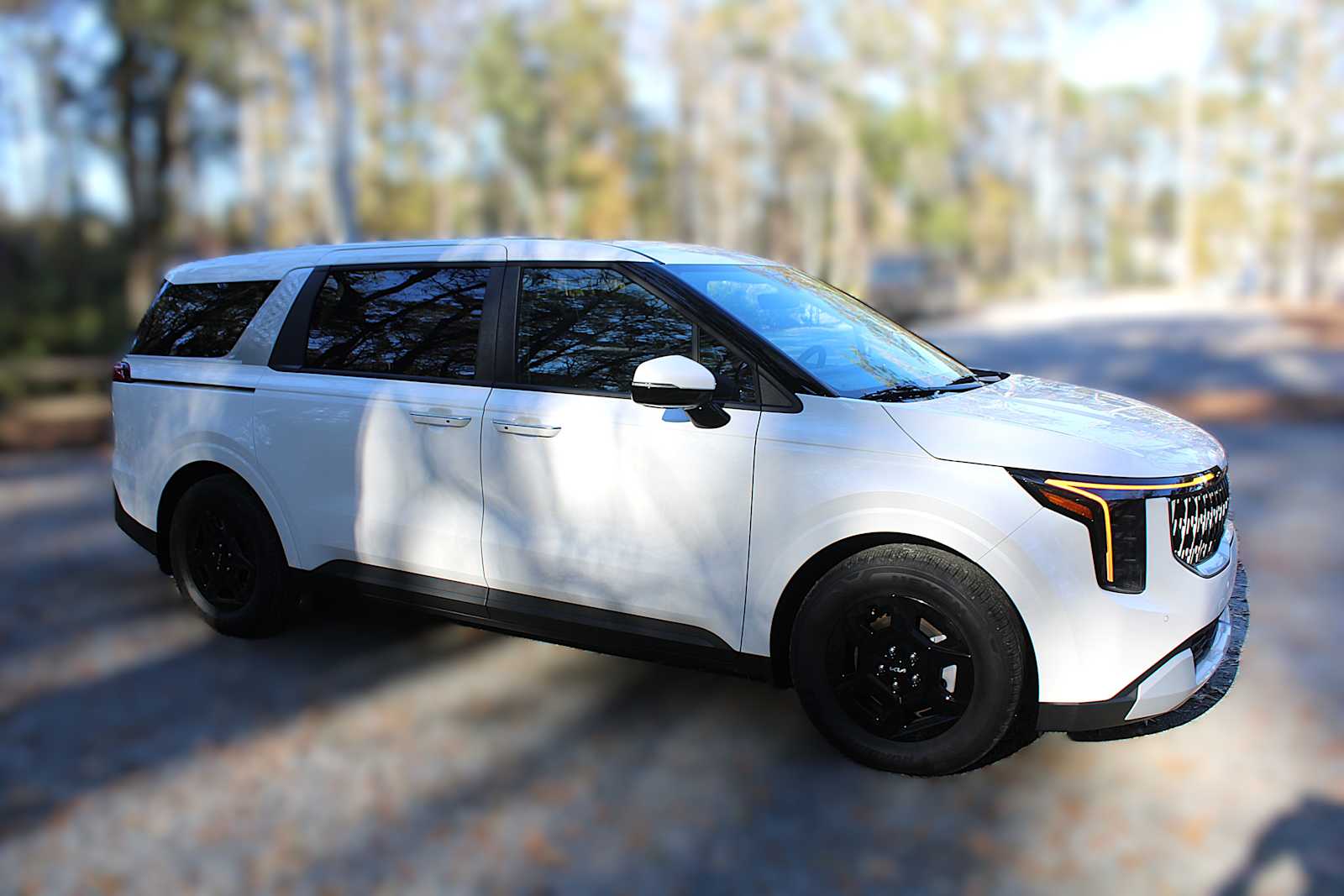 2026 Kia Carnival LXS photo 17