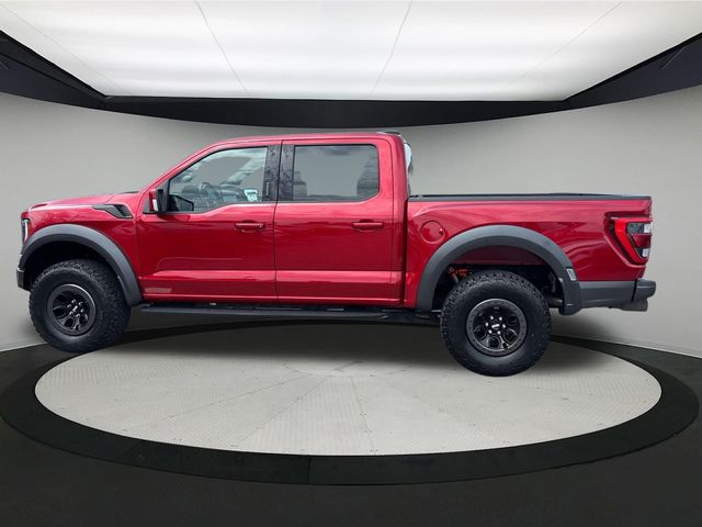 2021 Ford F-150 Raptor photo 2