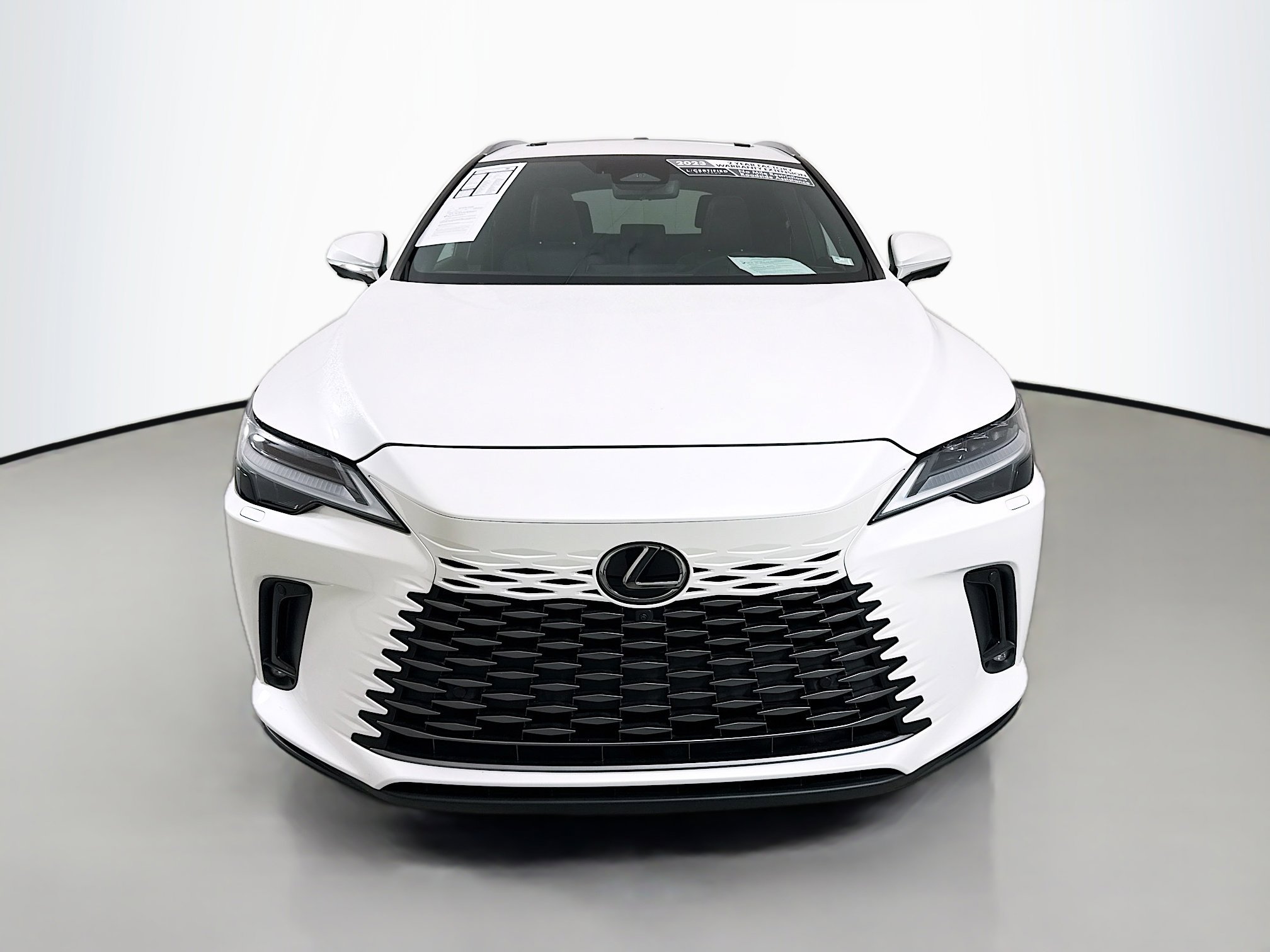 2023 Lexus RX 350 Luxury photo 2