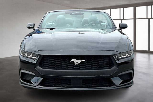 2024 Ford Mustang EcoBoost Premium photo 4