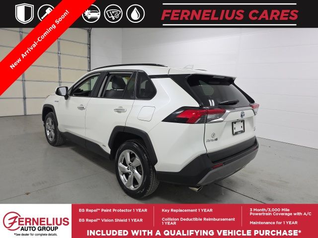 2019 Toyota RAV4 Hybrid Limited photo 3