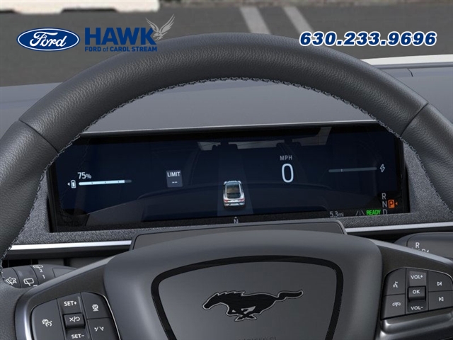 2025 Ford Mustang Mach-E GT photo 11