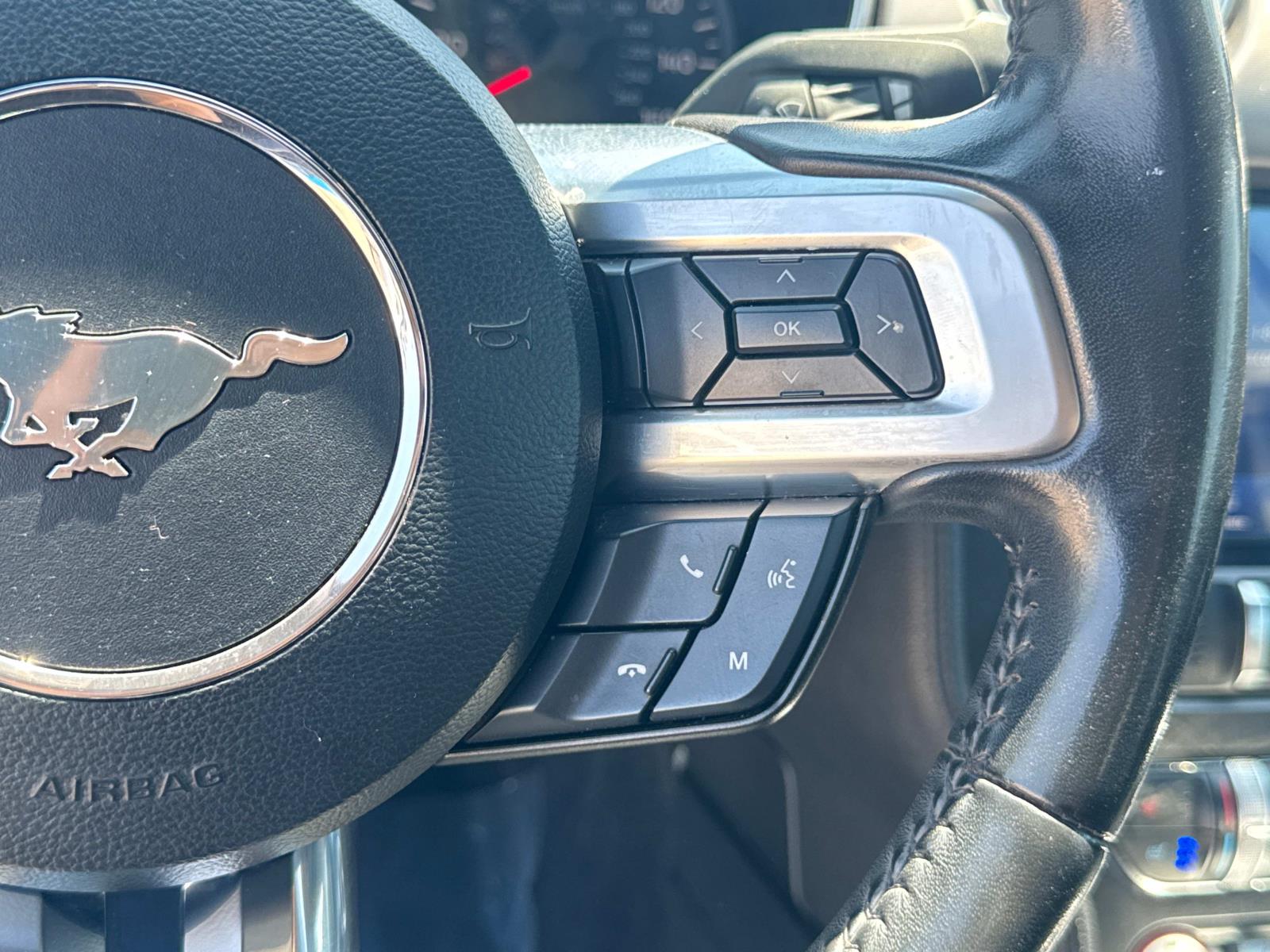 2022 Ford Mustang EcoBoost Premium photo 10