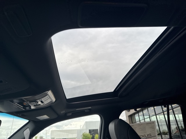 2025 Lexus LX 600 Premium photo 29