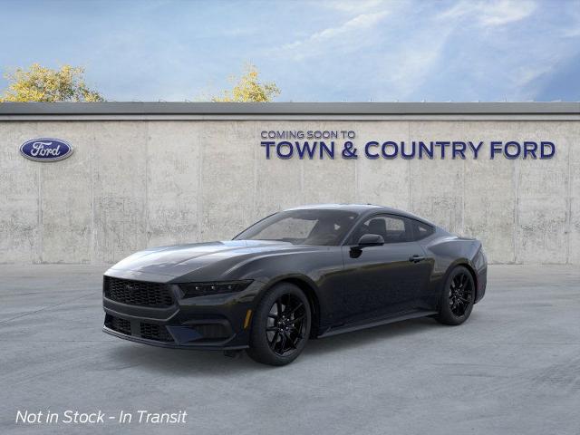 2025 Ford Mustang EcoBoost photo 11