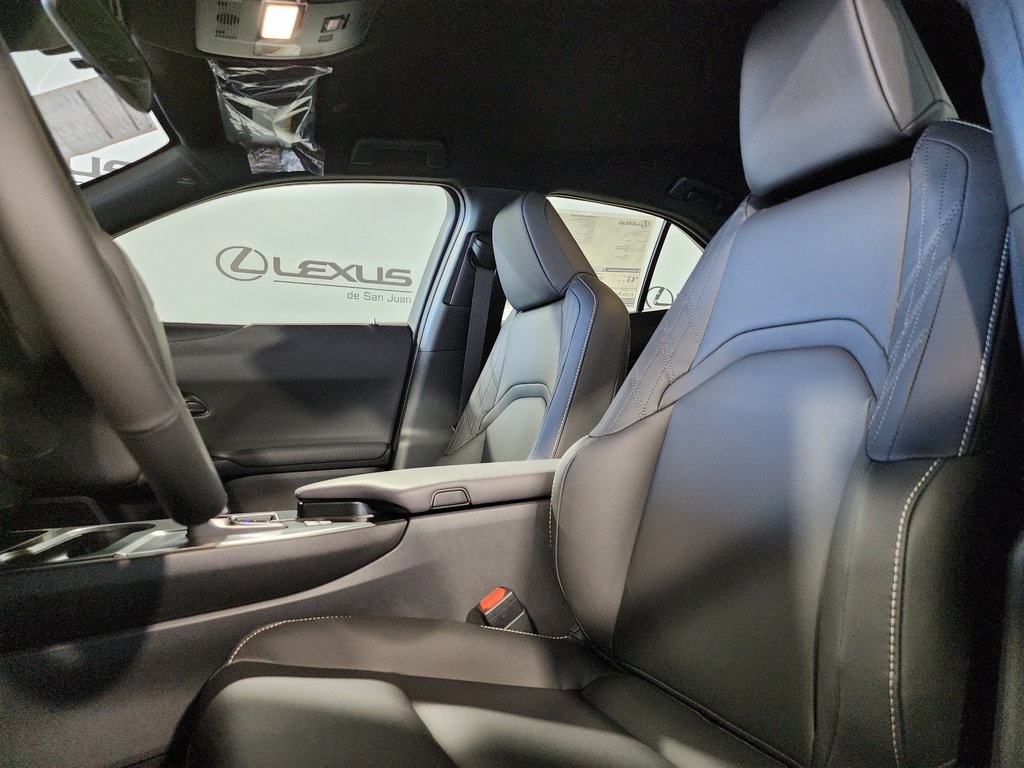 2025 Lexus UX photo 14