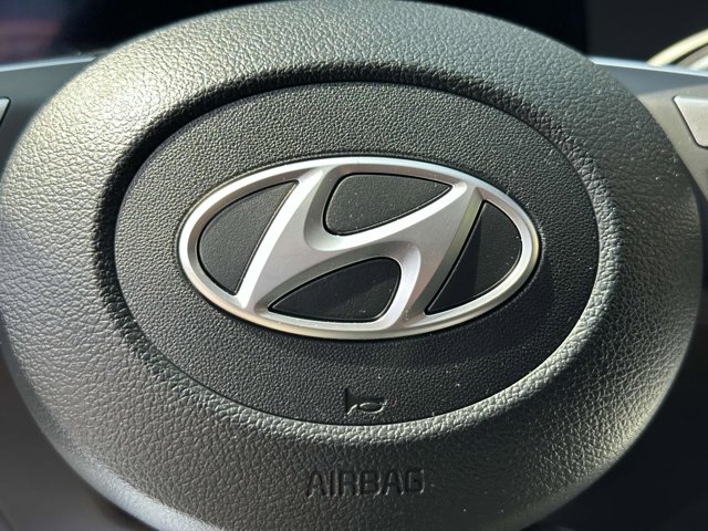 2025 Hyundai Palisade SEL photo 17
