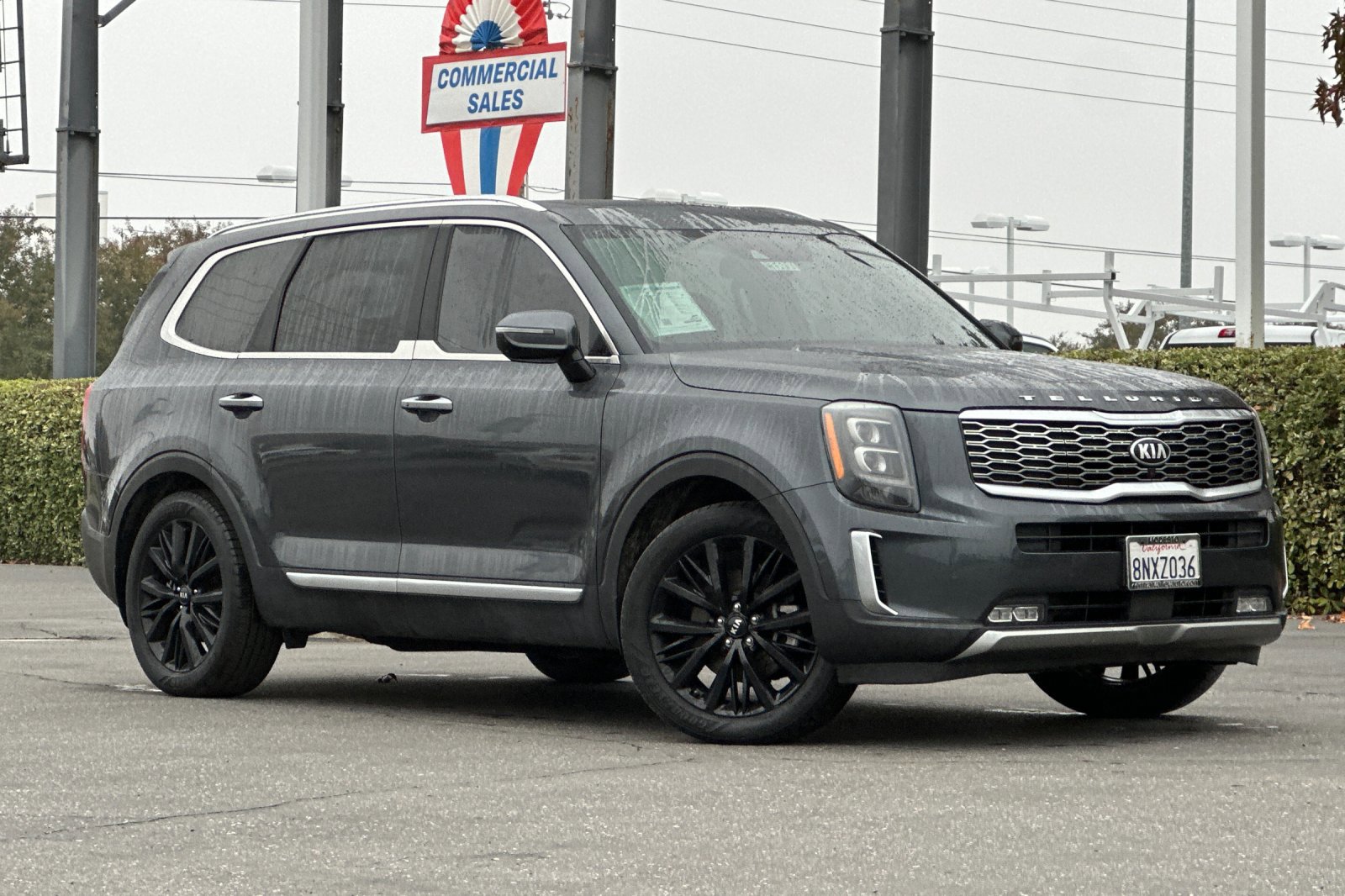 2020 Kia Telluride SX photo 2