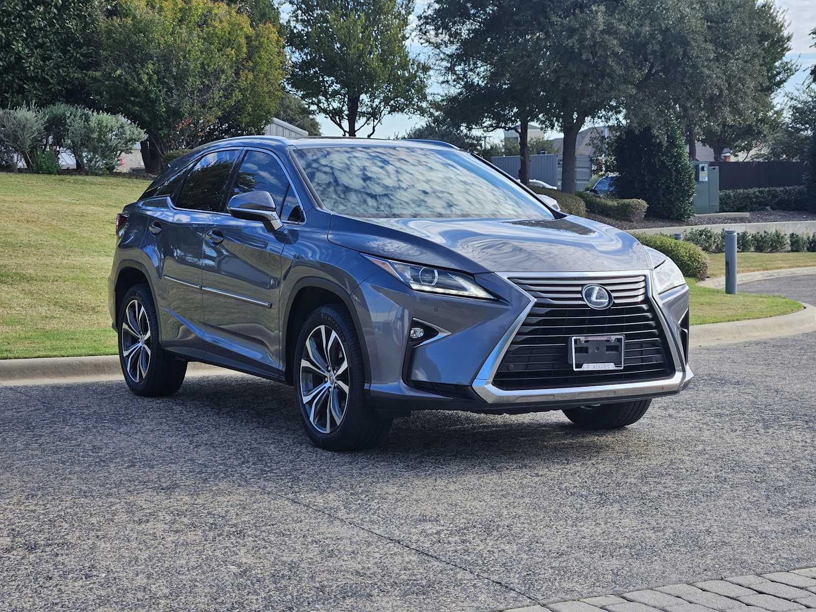 2017 Lexus RX photo 2