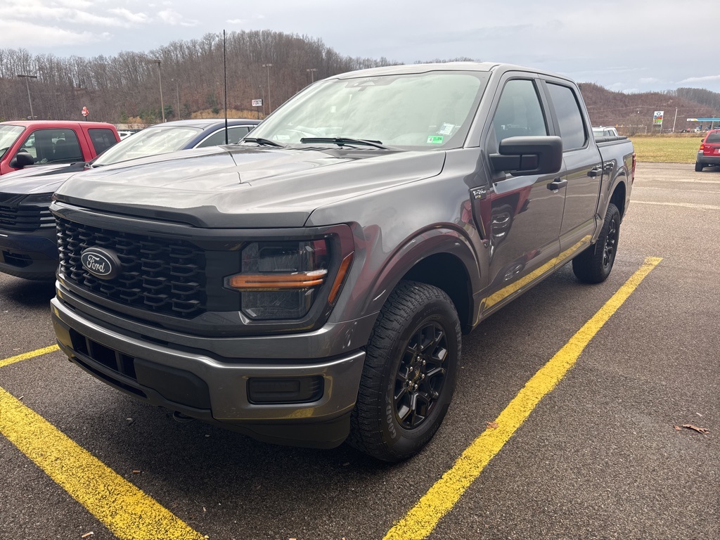 2025 Ford F-150 STX's photo