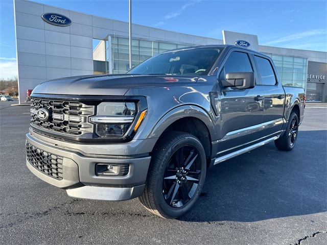 2025 Ford F-150 STX's photo