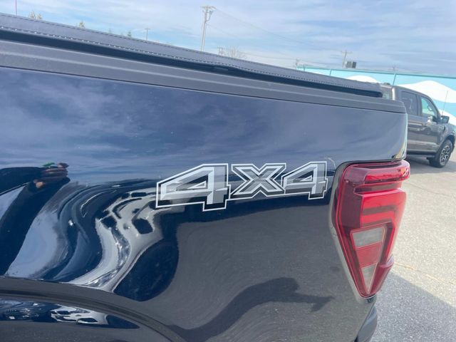2024 Ford F-150 Platinum photo 11
