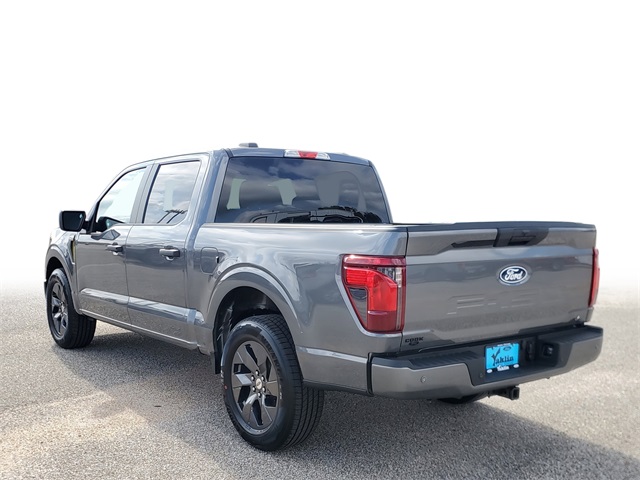 2025 Ford F-150 STX photo 3