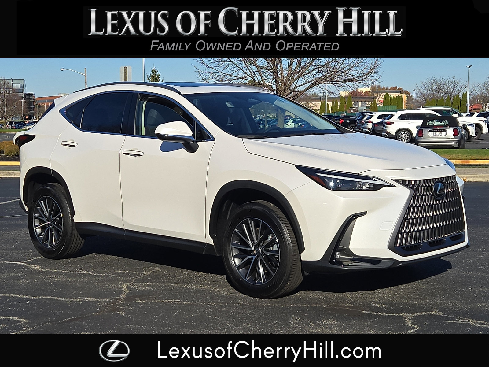 2024 Lexus NX 250's photo