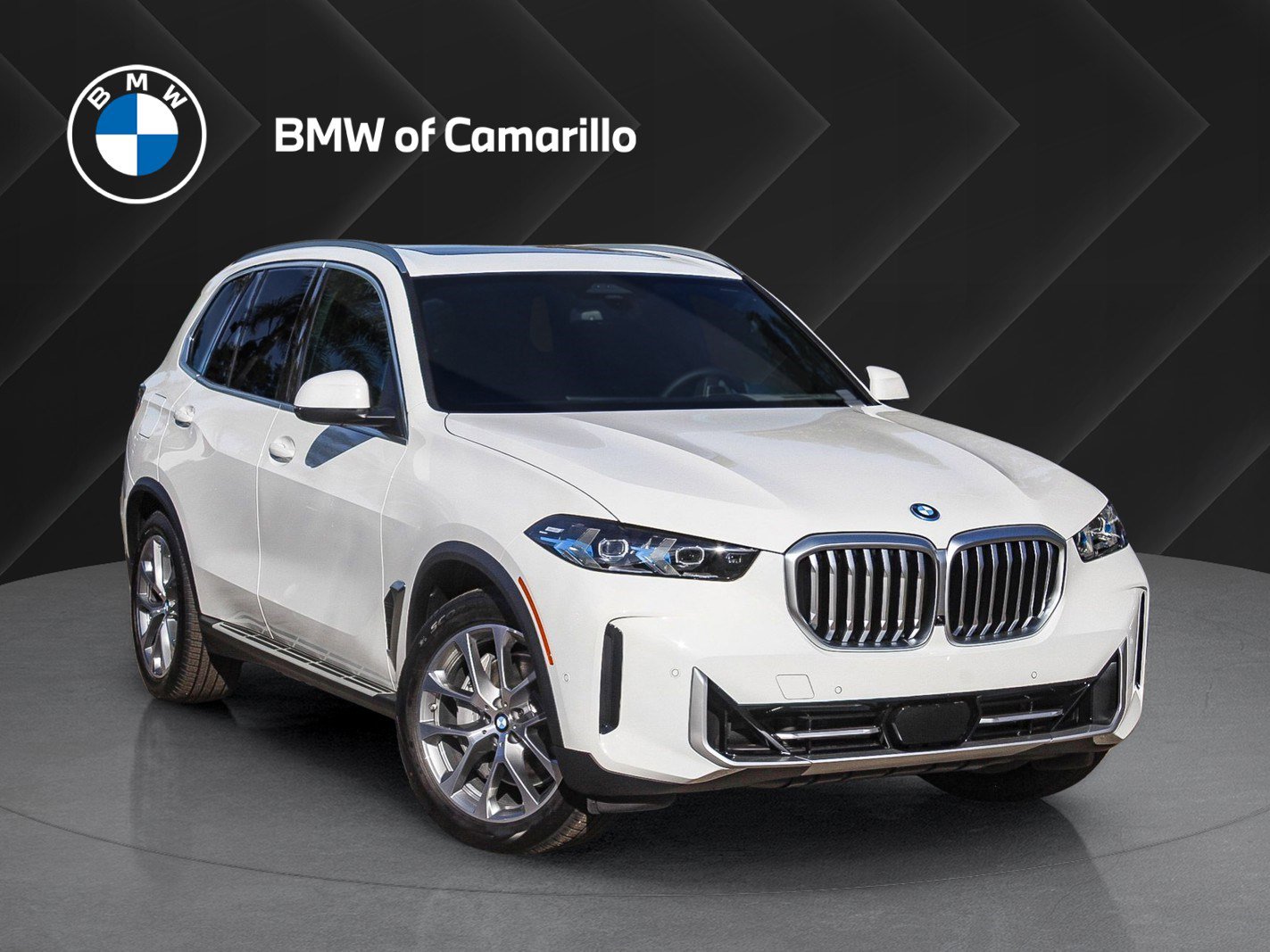 2026 BMW X5 50e's photo