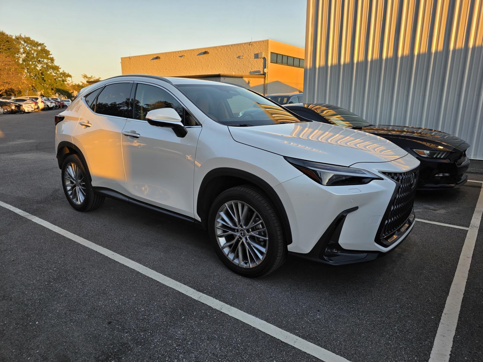 2024 Lexus NX 350's photo