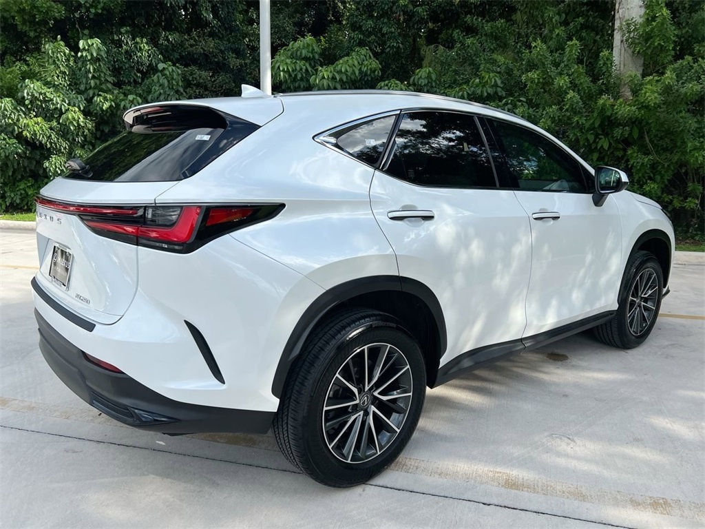 2024 Lexus NX 250 photo 7