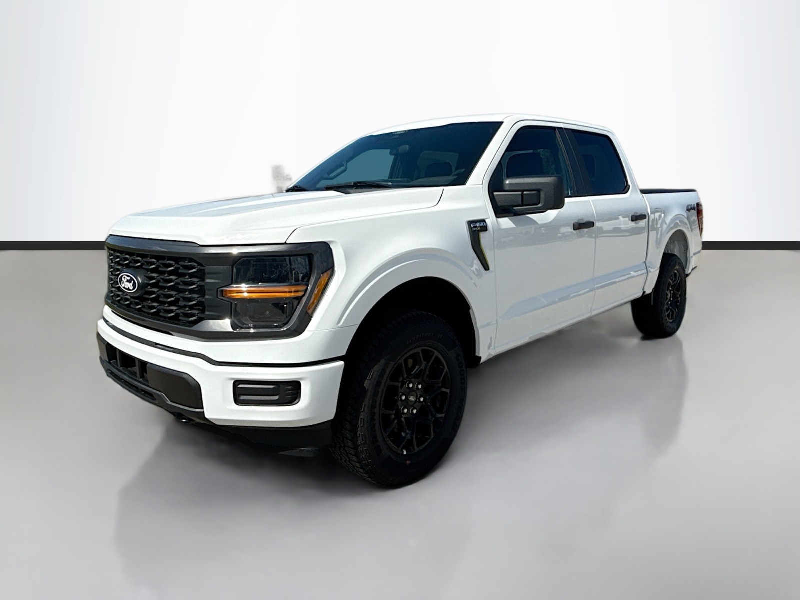 2025 Ford F-150 STX's photo