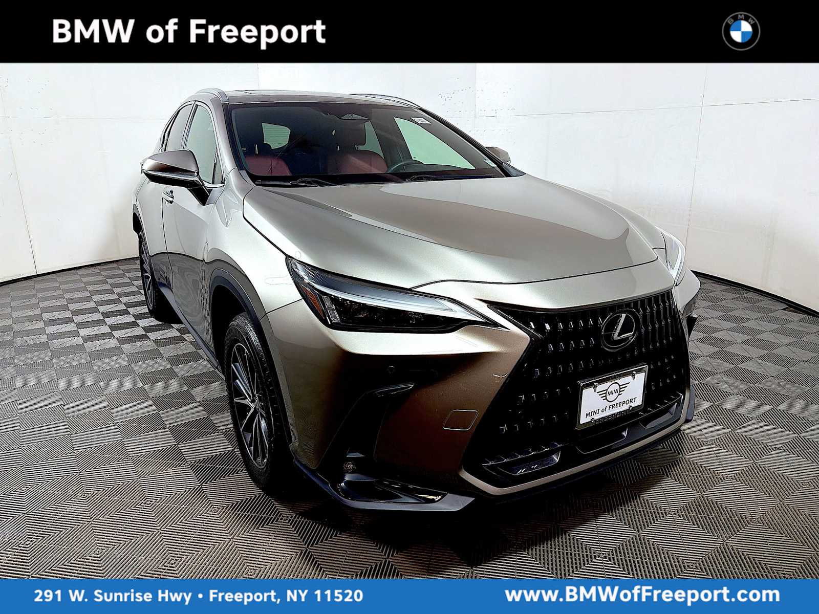 2023 Lexus NX 350's photo