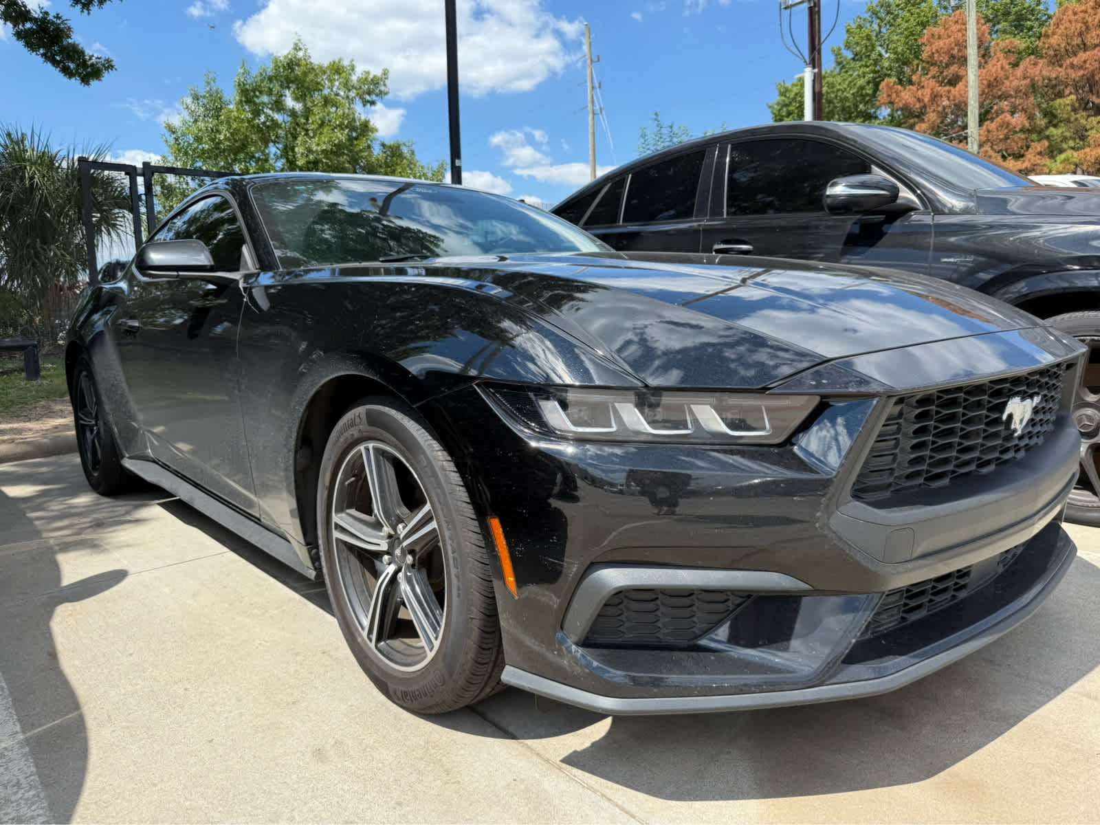 2025 Ford Mustang EcoBoost photo 2